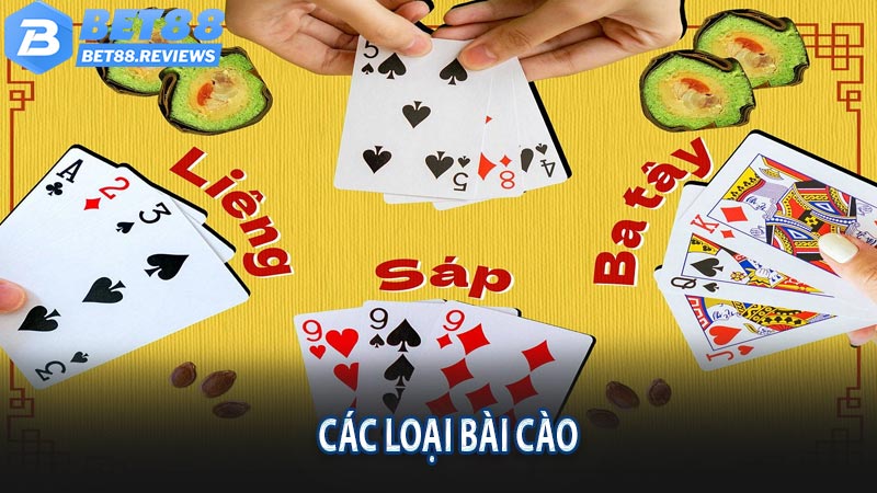 Các loại bài cào