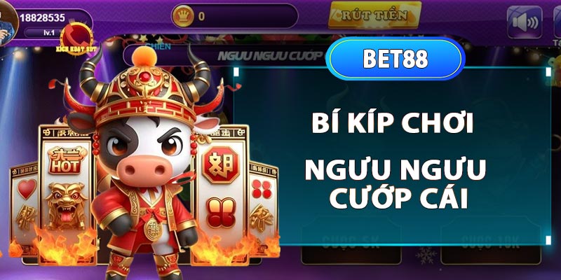 Bí kíp chơi game bài ngưu ngưu cướp cái